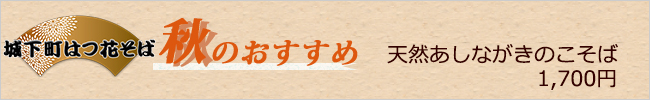 夏のおすすめ